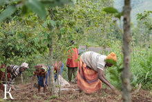 Load image into Gallery viewer, Burundi Kalico: Be The Light